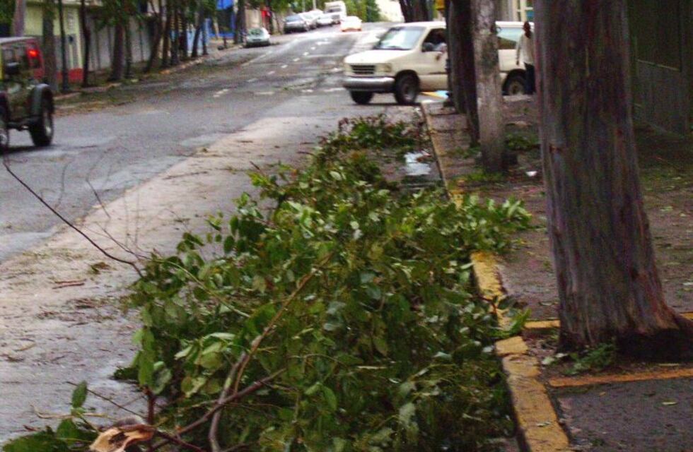 Octubre: cronograma de recolección de voluminosos en Punta Alta