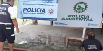 Secuestro de aves