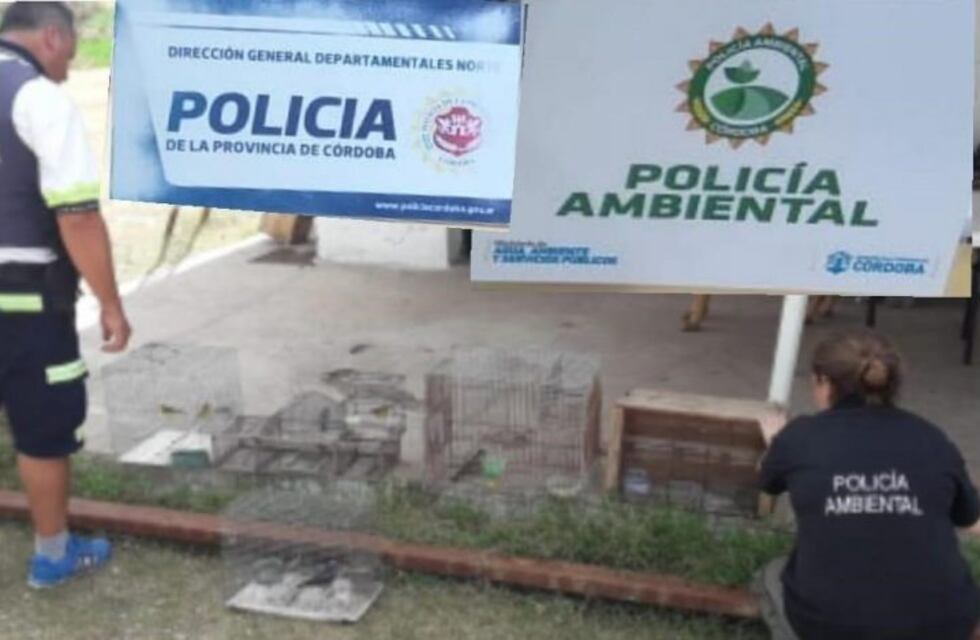 Policía Ambiental labro actas por desmonte y tenencia de aves silvestres