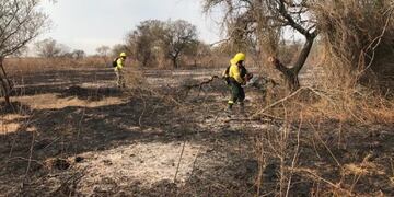 Fuerzas federales y provinciales fueron desplegadas en las últimas dos semanas para sofocar el fuego\u002E (Armada Argentina)