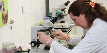 El Laboratorio Central dinamizará los tiempos para la confirmación de resultados\u002E