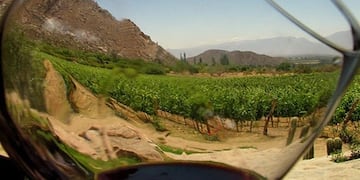 Se dieron a conocer todos los ganadores del Argentina Wine Awards\u002E