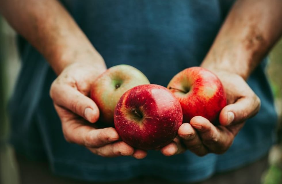 Una manzana por un abrazo: la propuesta de la semana de la dulzura saludable en Río Negro