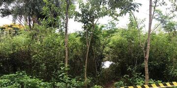 Fotos: ABC Color (Py)