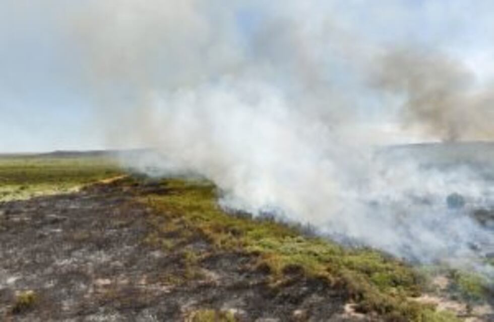 El Director Nacional de Manejo de Fuego aseguró que el incendio en La Pampa está contenido"