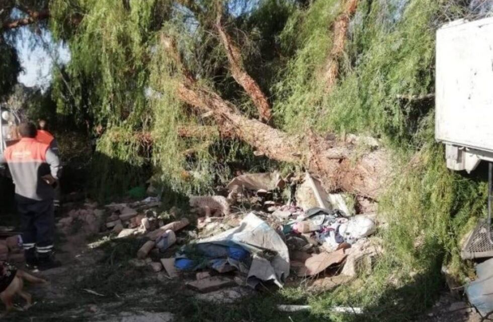 Una mujer murió aplastada por un árbol que cayó sobre su vivienda