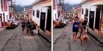 El maratonista Jaime Alejandro pateó a un perro y fue repudiado (Foto: Instagram)