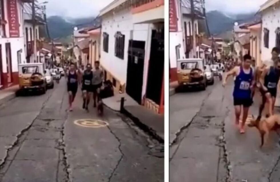 Un atleta pateó a un perro durante una competencia y se quedó sin sponsor