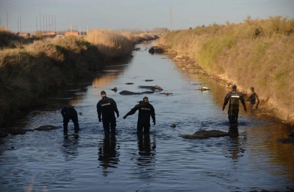 "Me llama la atención que el cuerpo esté así luego de 100 días", dijo la perito de la mamá de Facundo Astudillo Castro