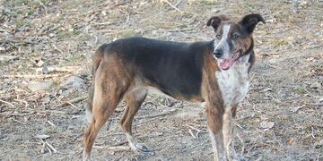 Imagen ilustrativa\u002E