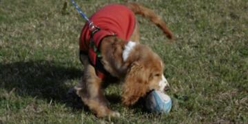 (Foto: Mariana Herrera)\u002E