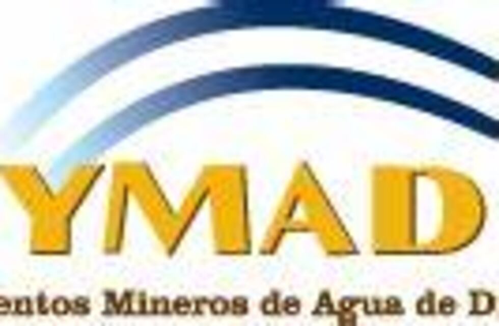 YMAD entre las empresas a privatizar