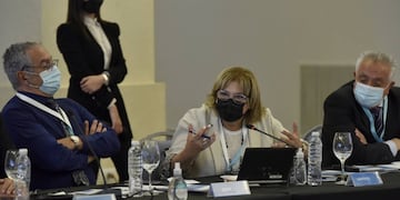 La ministra de Salud, Sonia Martorano, confirmó que hay 450.000 personas en la provincia que pueden acceder la medicamento diseñado en China.