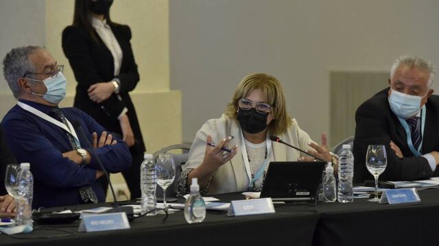 Sonia Martorano en la reunión de Cofesa
