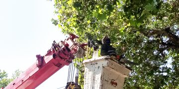 La dirección de Paseos Públicos realizará trabajos de poda y erradicación de forestales en la zona del Hospital Carlos Pereyra. Gentileza MCM