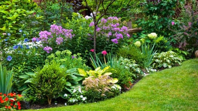 La planta que llena de color el jardín y es ideal para espacios de meditación, según los expertos