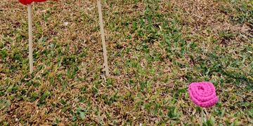 Volvieron a realizar la intervención en los canteros de Bv. Santa Fe