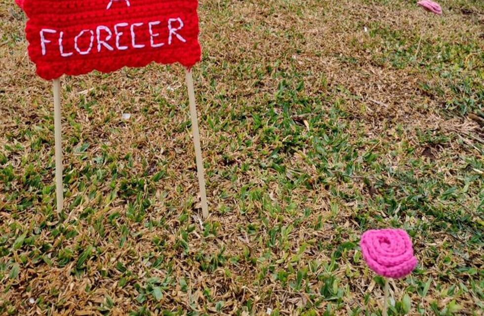 Volvieron a instalar las flores de lana en el Bv. Santa Fe