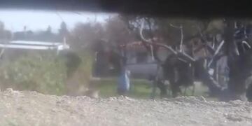 Foto fragmentos de vídeos publicados en redes sociales.