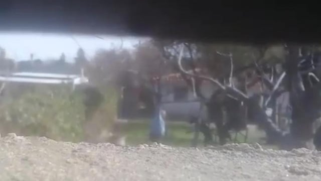 Foto fragmentos de vídeos publicados en redes sociales.