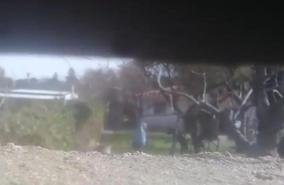 Denunciaron al ex- Intendente de Valle Hermoso, Jorge Alba, por maltrato animal