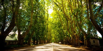 El espacio cautiva a todos los turistas y es un orgullo para los locales.