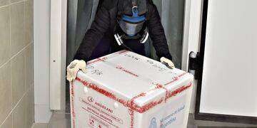 Llegaron 3.000 dosis de la Sputnik (APN)