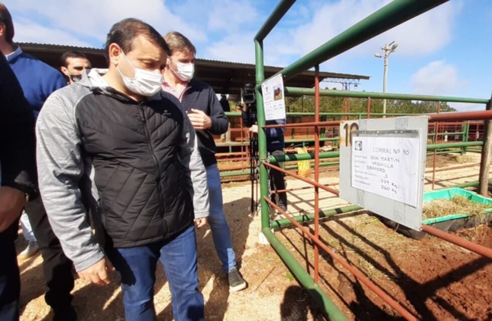 Herrera Ahuad participó de un remate ganadero en San Martín y se refirió a la situación epidemiológica de Misiones