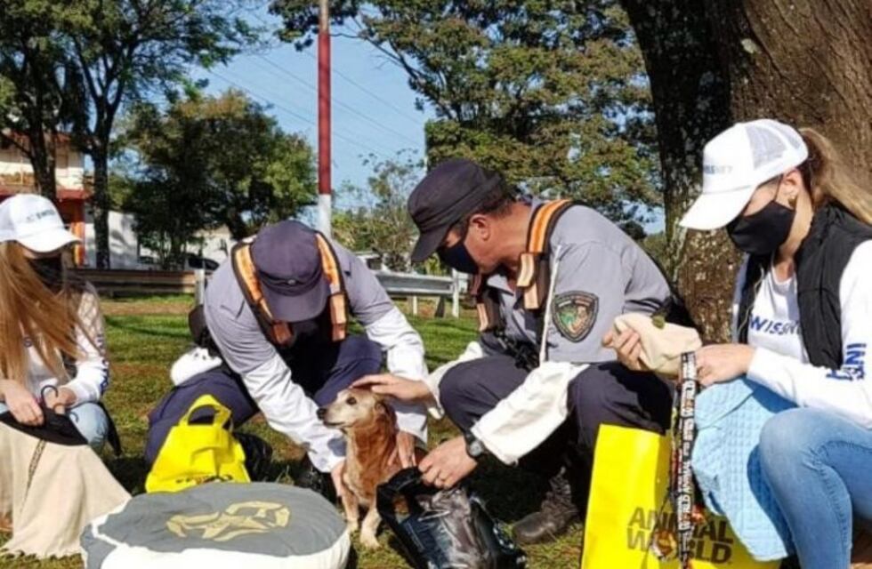 Se realizó un reconocimiento para el perro salchicha de la Policía de Jardín América