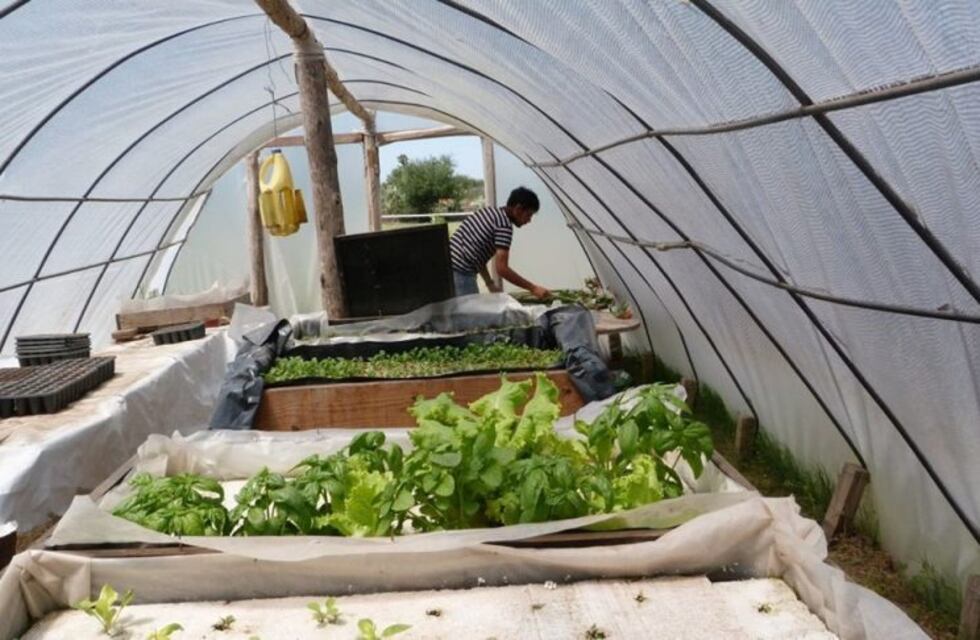 Agronomía de la UNC inició un plan de asistencia alimentaria para los más necesitados