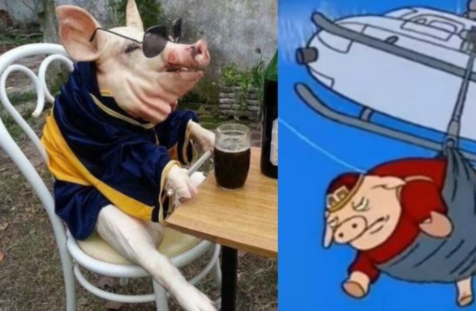 Los memes que dejó el "cordero volador" de Punta del Este