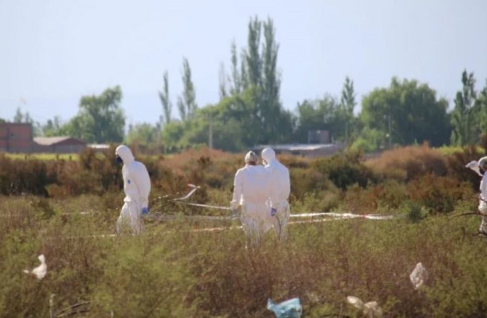 Lo buscaban desesperadamente y apareció muerto: detuvieron a un menor