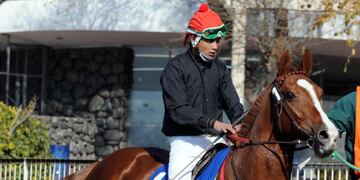 Vuelve el Turf este viernes a la ciudad de La Punta