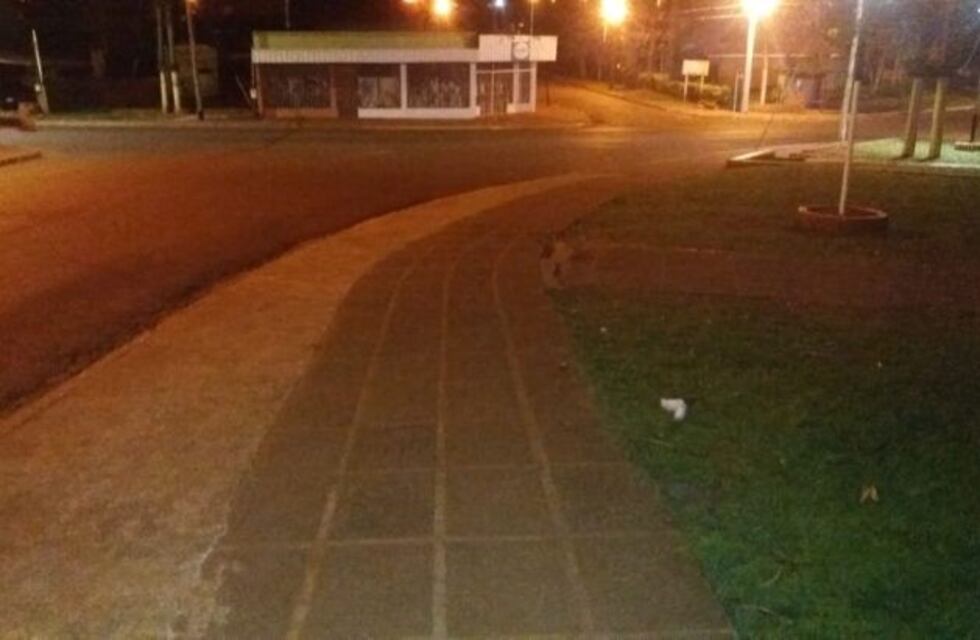 Tras negarse a declarar, imputaron a los dos jóvenes que asesinaron a el comerciante que se negó a venderles alcohol