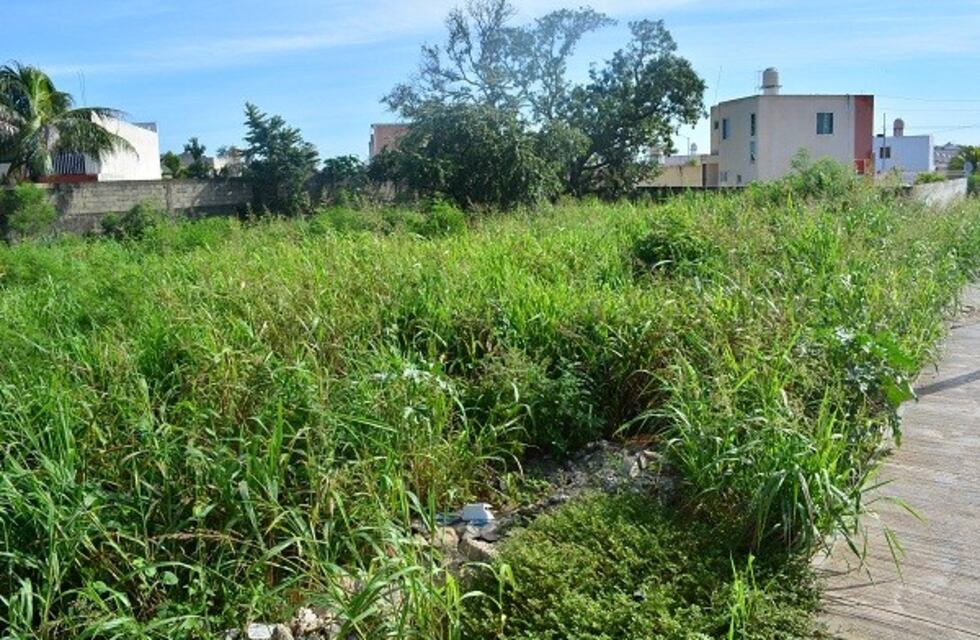 Se multarán a aquellos vecinos que no mantengan los sitios baldíos en Arroyito