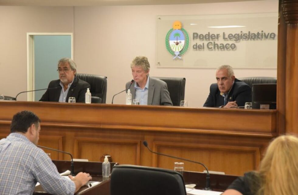 Diputados ratificaron por ley el "Protocolo Unificado de actuación" por el Coronavirus