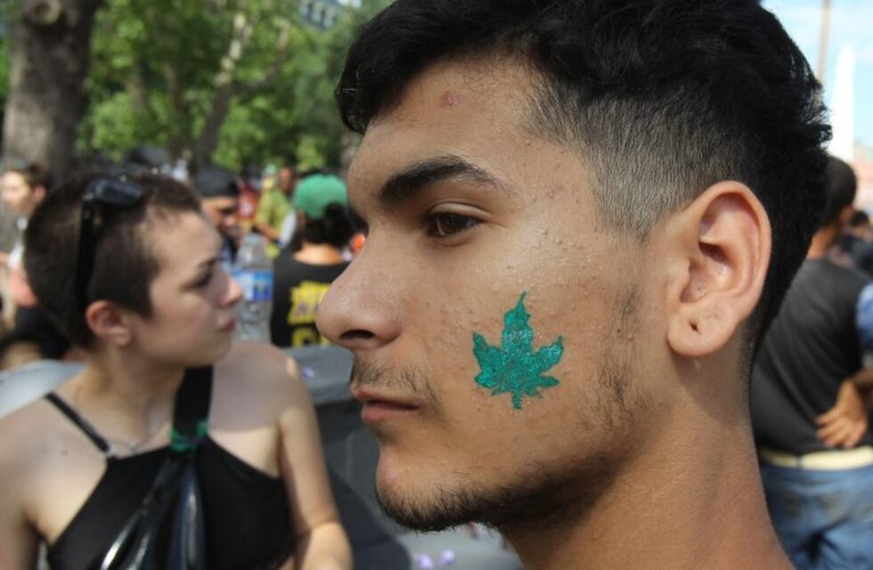 Presentaron en Rosario un acuerdo para regular el uso del cannabis