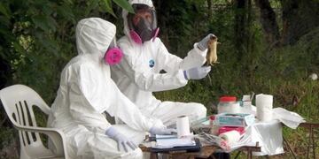 Medidas para prevenir el hantavirus\u002E (web)