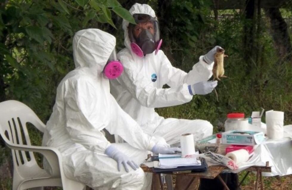 "No tuvimos ningún caso confirmado de hantavirus en Entre Ríos", aseguró Bordet