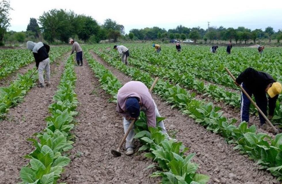 Acuerdo para la distribución de recursos entre los tabacaleros