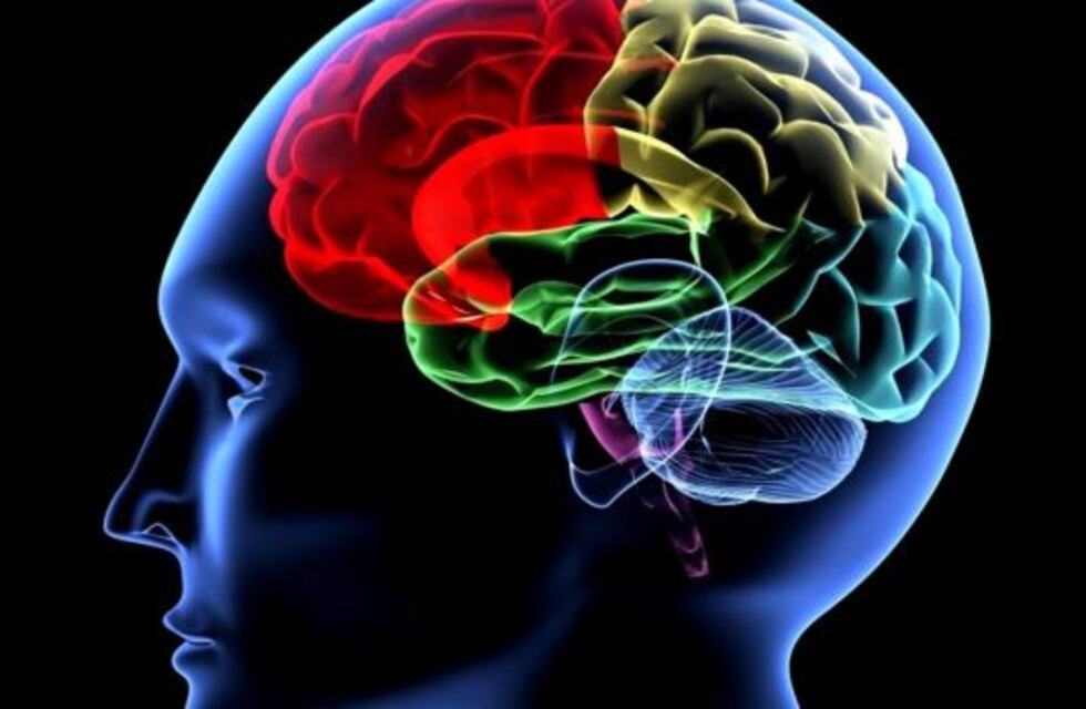 La memoria selectiva es signo de inteligencia