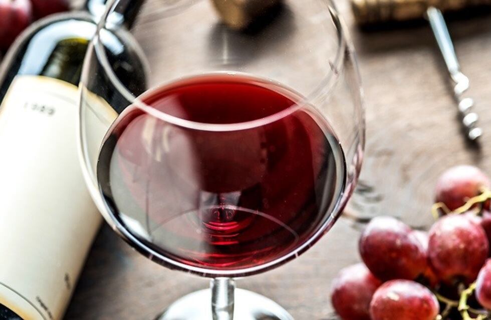 Hubo acuerdo en una agenda para el desarrollo de la vitivinicultura