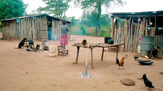 Viven en condiciones infrahumanas, y tanto grandes como chicso no tienen qué comer.