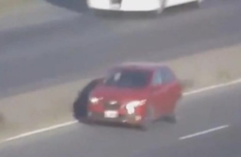 Locura al volante: manejó borracho y a contramano por la Panamericana