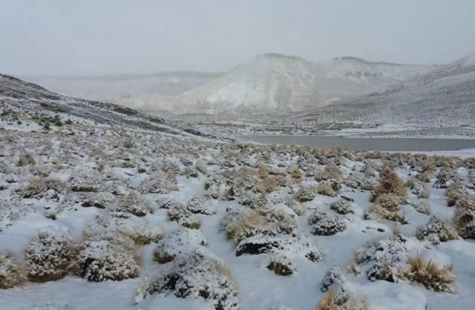 Copiosa nevada embelleció la localidad puneña de Lagunillas del Farallón