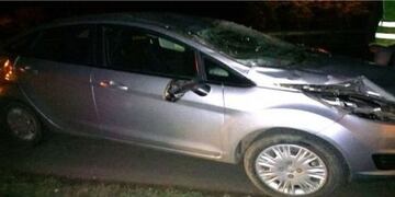 Así quedo el vehículo que envistió el equino\u002E