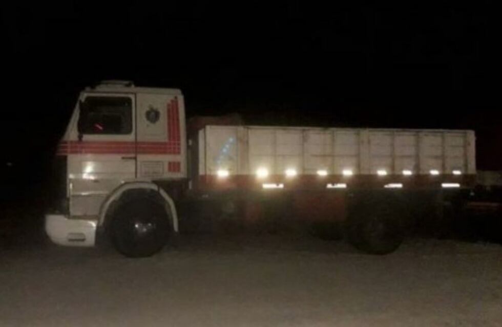 Camioneros trucharon los certificados de hisopados para entrar ilegalmente a San Juan