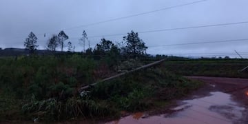 El temporal dejó graves destrozos en San Javier\u002E (Foto: Twitter)