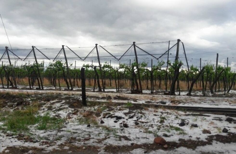 El seguro agrícola cubrirá al 80% de los productores de la provincia