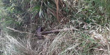 Hallaron en Los Acantilados una pala que le habían prestado a la ex pareja de Claudia Repetto (Foto: 0223)